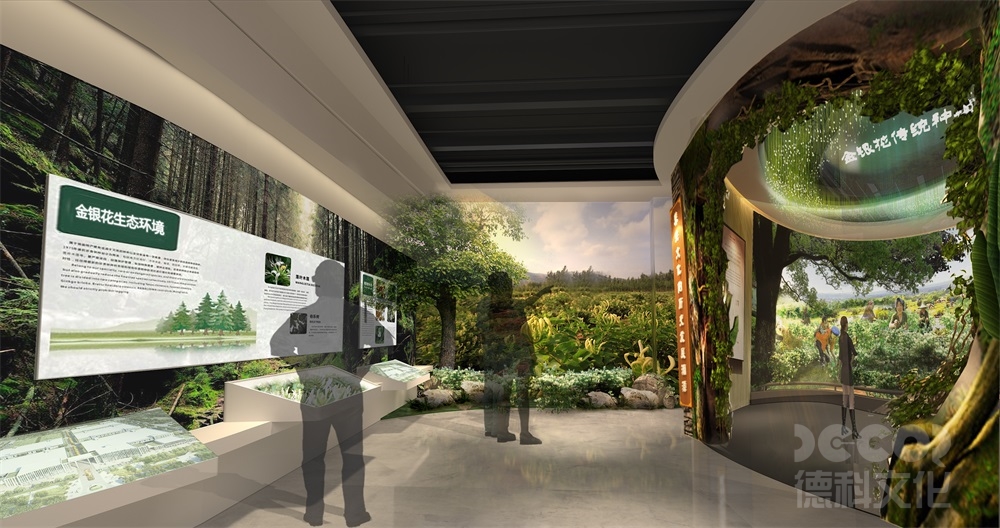 數(shù)字博物館設(shè)計(jì)中如何保護(hù)和展示數(shù)字化文物？